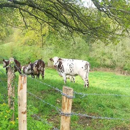 De Fourneaux *