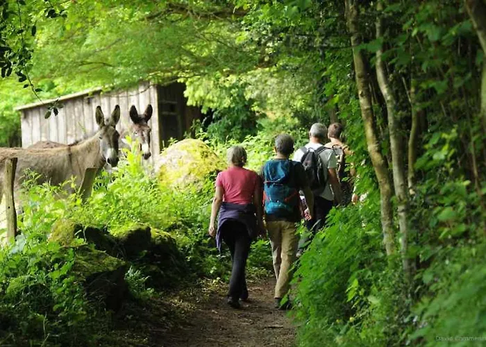 Hébergement de vacances De Fourneaux *